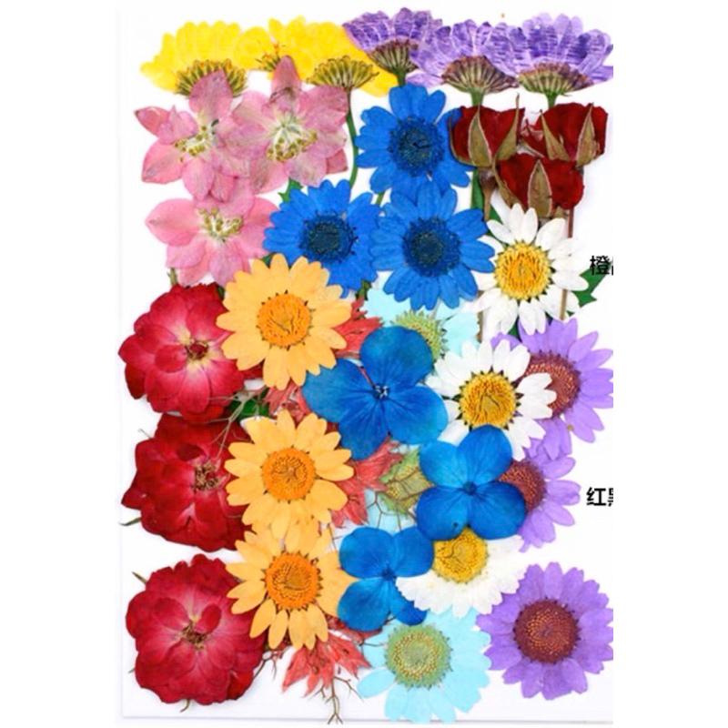 乾燥花材料包、花材料包、花標本、花教學 花素材 角落區-細節圖5