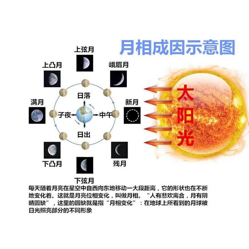 中秋節教具 月亮教具 觀察月亮diy組裝教具、月亮教材-細節圖8