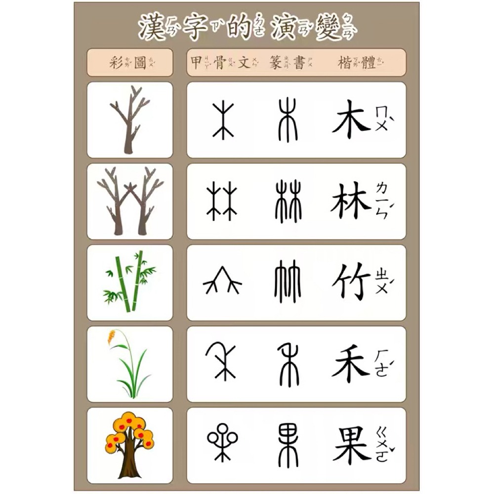 漢字演變圖卡 甲骨文到楷書演化  認字教具  視覺化學習神器 甲骨文教具 認字教材-細節圖3