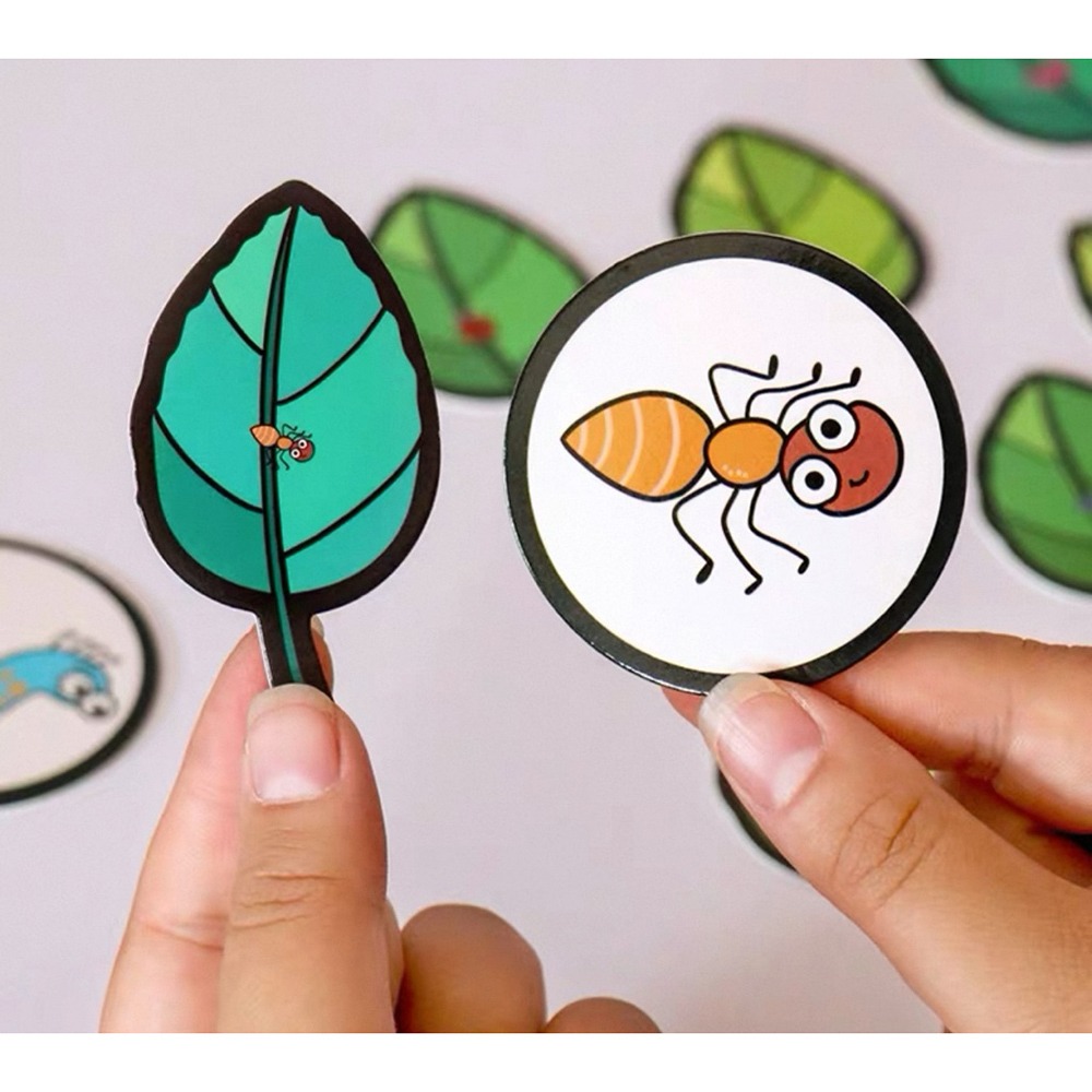 昆蟲觀察放大鏡教具組 找找小昆蟲 教具卡片🩵不包含托盤1  昆蟲觀察 放大鏡教材-細節圖2