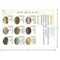 樹皮肌理觀察教材 觀察樹皮 自然生態教學  觀察樹皮的肌理 自然觀察卡片