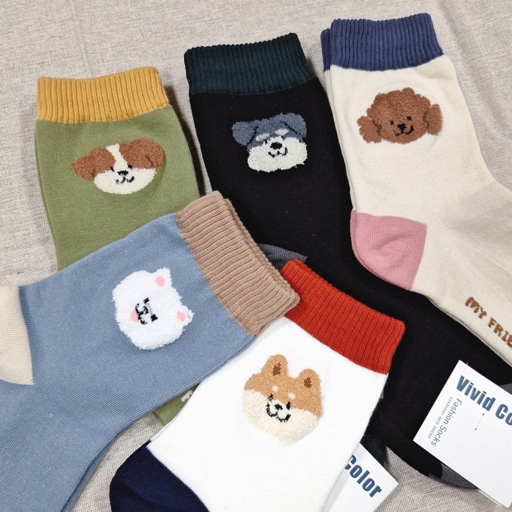 【Caramella】襪子韓國 襪子 韓國襪 中筒襪 薄襪子 可愛襪子 狗狗襪子 韓國襪子 襪子中筒襪 女生襪子 卡通襪-細節圖2