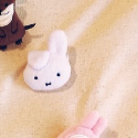 Miffy（折耳）