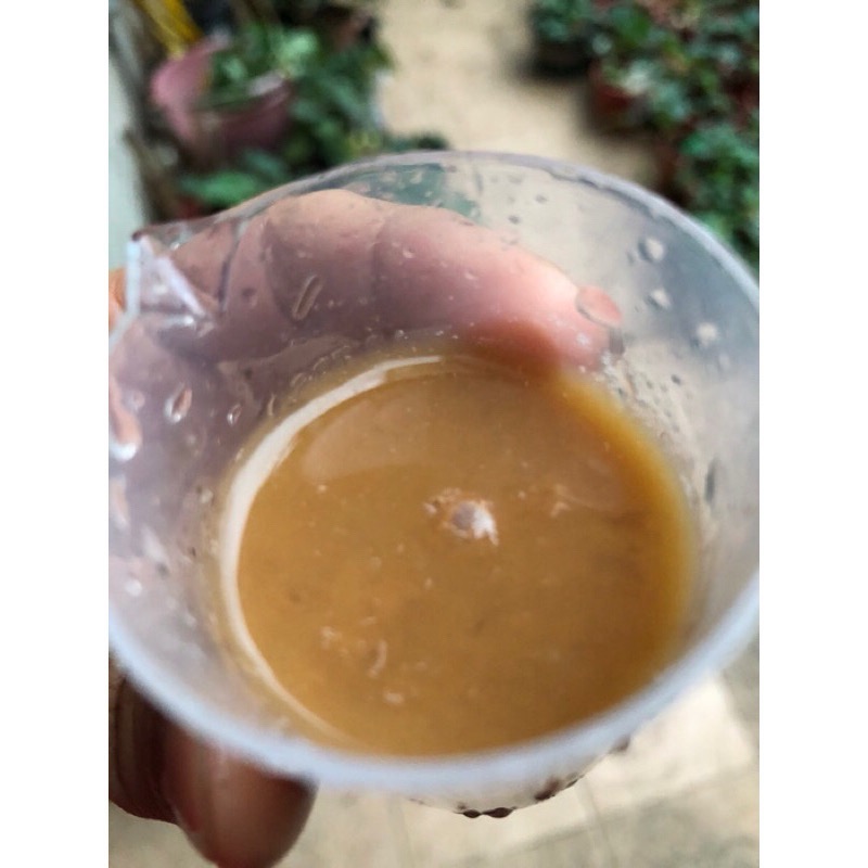 有機 液肥 谷特菌液肥 添加開根哈茨木黴菌 蔬菜水果適用-細節圖4