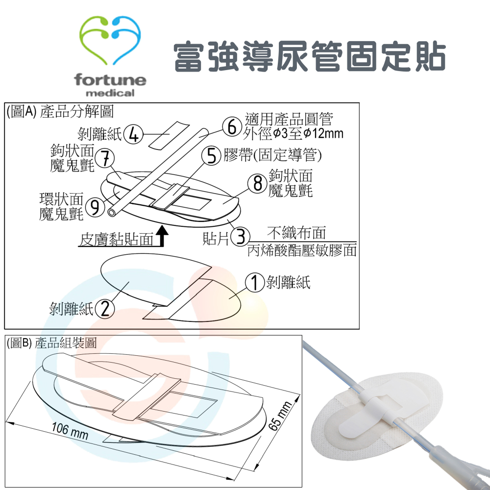 富強 導尿管固定貼 導管固定貼 固定貼 固定裝置 固定貼 拆卸和重新定位 不留殘膠 台灣製造-細節圖4