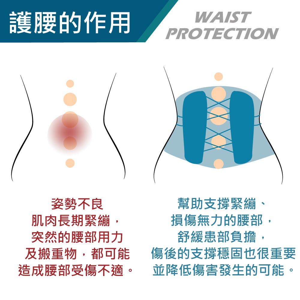 康得適-COMDS UL-504 動力滑輪護腰 護腰帶 醫療護腰 工作護腰 護腰推薦 支撐束腰帶-細節圖6