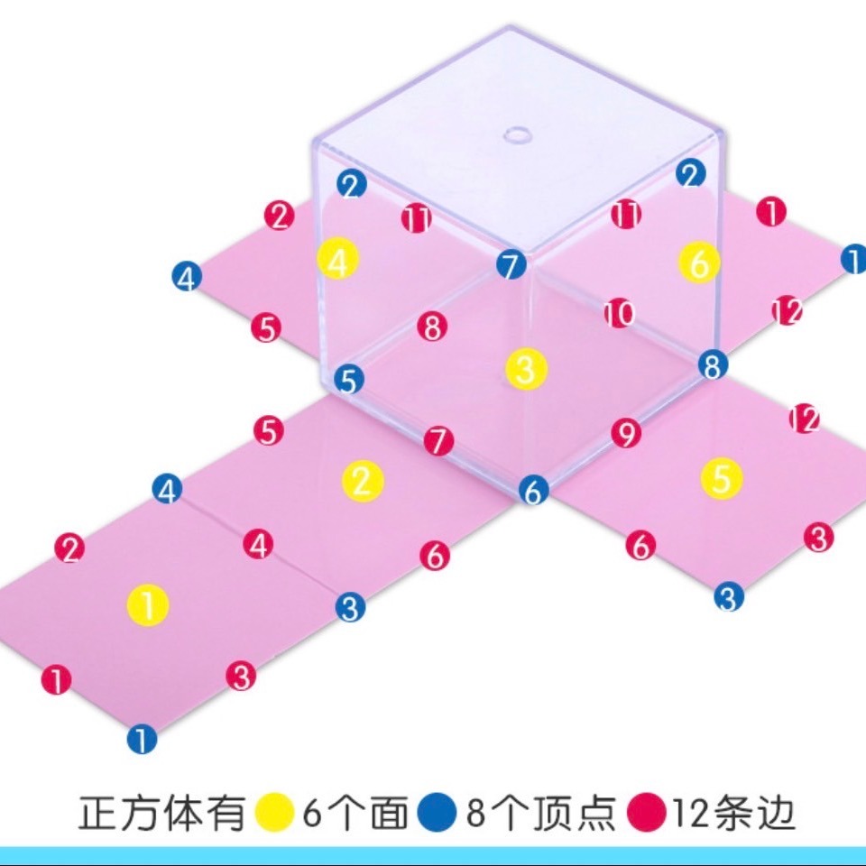 幾何圖形模型展開八件組數學面積 8件組幾何圖 立體形狀認知 形狀教學 數學體積 錐的認識 形狀認知 幾何圖形展開-細節圖3
