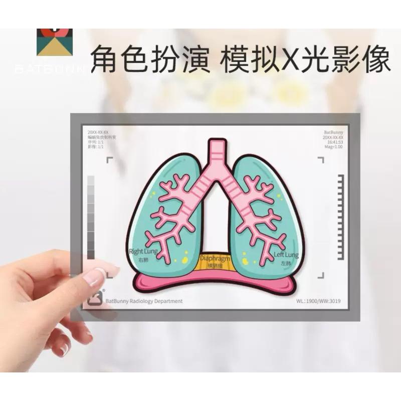 骨骼器官內臟 人體構器官模型拼圖 認識器官 器官配對 認識關節 人體結構教學 身體骨架-細節圖4