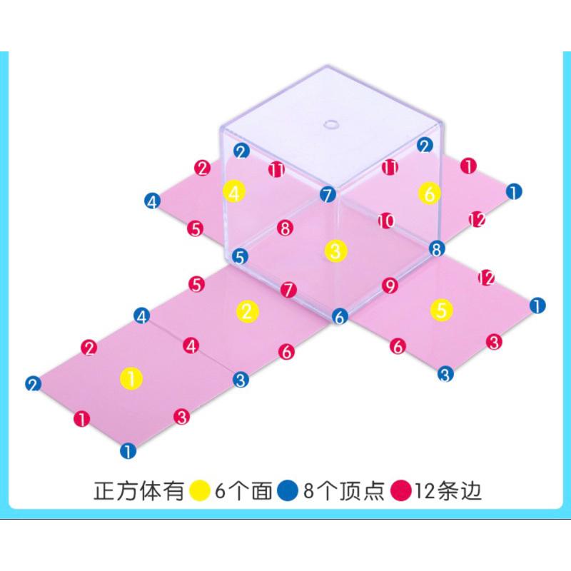 幾何教學 幾何圖形模型展開八件組數學面積 8件組幾何圖 立體形狀認知 形狀教學 數學體積 錐的認識  幾何圖形展開-細節圖4