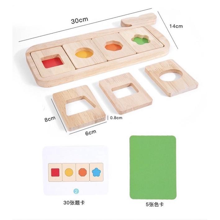 感官系列 兒童早教色彩認知鯨魚  幾何形狀顏色板 教具顏色配對 形狀桌遊和顏色片 鯨魚幾何分色板 邏輯思維 形狀顏色認知-細節圖4