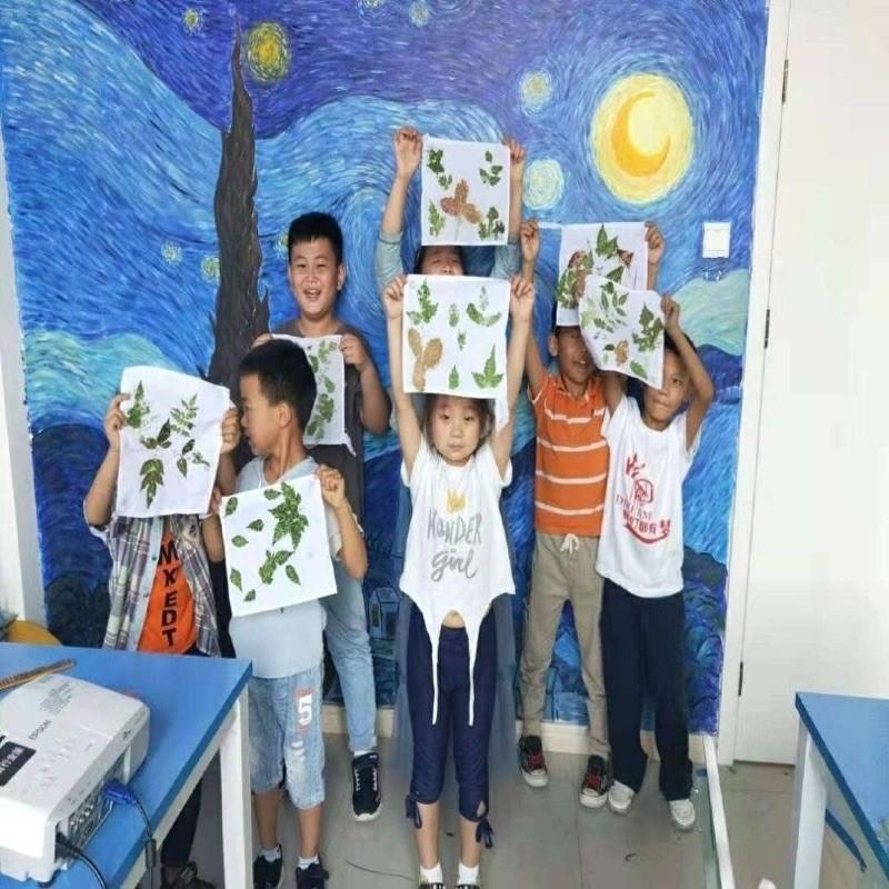 感官槌 拓印趣味活動DIY 拓印布 拓印槌 拓印素材 自然素材 葉子素材 葉子材料 拓印素材 拓印DIY-細節圖5