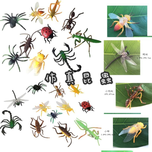 教學道具 模擬昆蟲模型 昆蟲模型 仿真昆蟲 昆蟲教具 仿真動物 昆蟲玩具 昆蟲認知