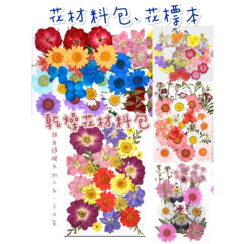 花 乾燥花材料包 （一包23-28朵）花材料包、花標本花片 乾燥花 花材料包 角落區 美勞素材 自然素材 花片