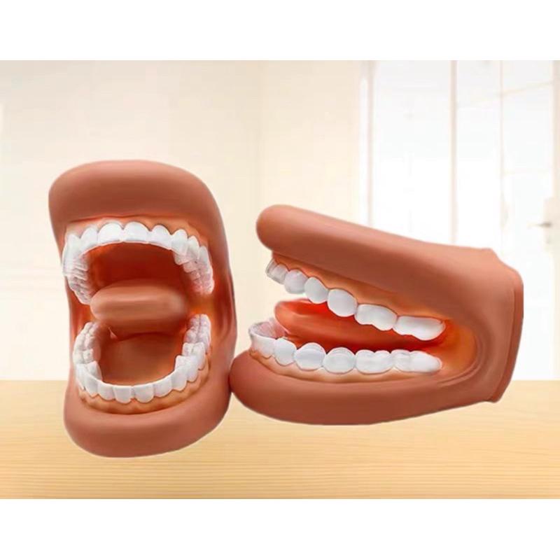 手偶 牙齒模型手偶 模型 牙齒-細節圖3