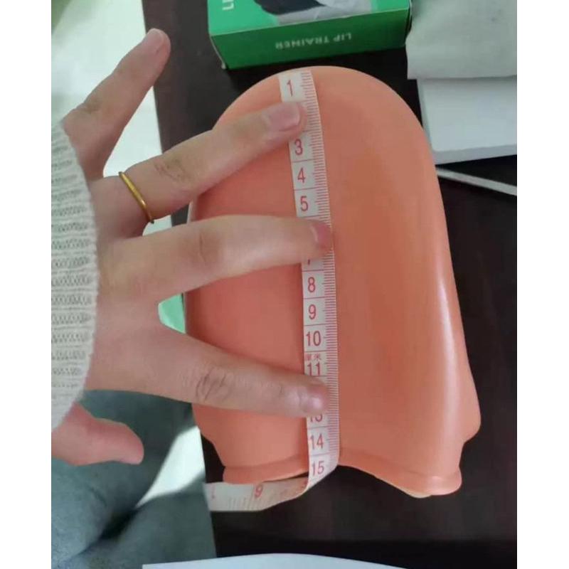 手偶 牙齒模型手偶 模型 牙齒-細節圖5