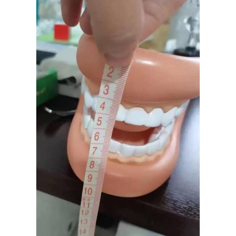 手偶 牙齒模型手偶 模型 牙齒-細節圖6