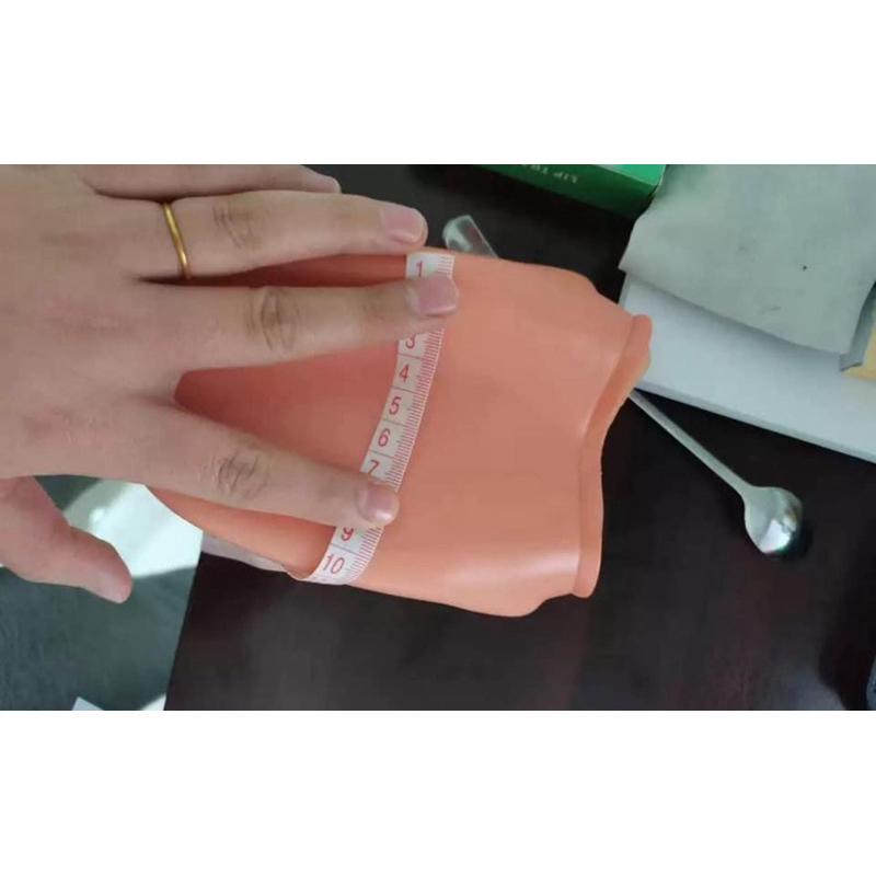 手偶 牙齒模型手偶 模型 牙齒-細節圖7