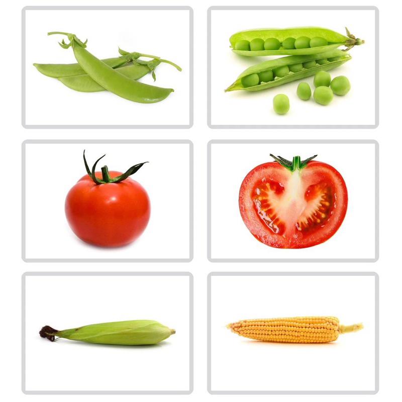 語言發育遲緩 語言訓練教學 水果教具 配對卡 認識水果 認識蔬菜 蔬菜的教學 水果配對-細節圖3