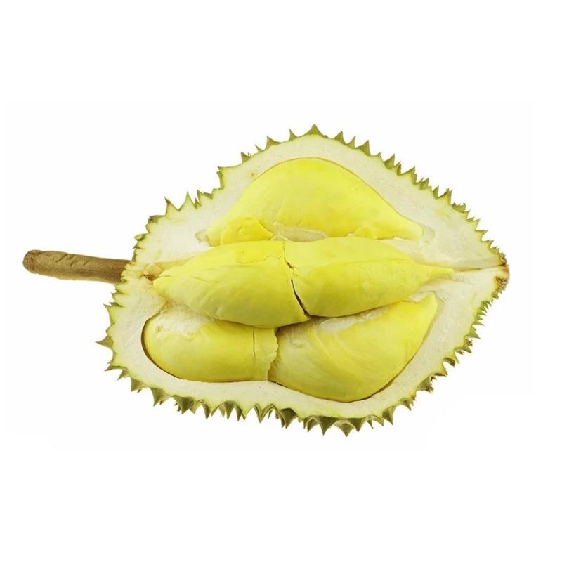 語言發育遲緩 語言訓練教學 水果教具 配對卡 認識水果 認識蔬菜 蔬菜的教學 水果配對-細節圖4