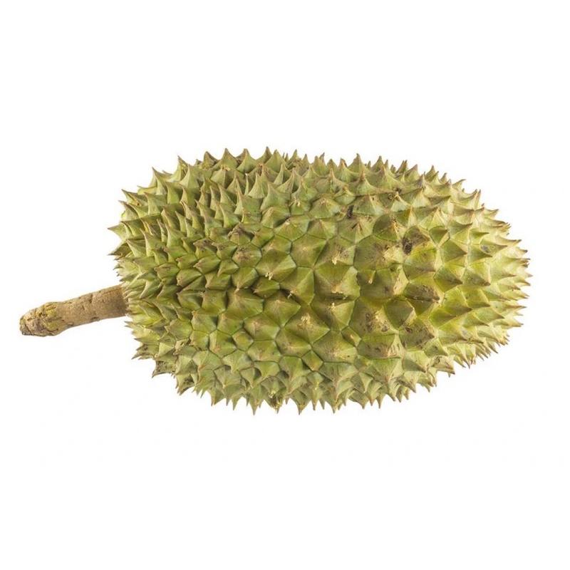 語言發育遲緩 語言訓練教學 水果教具 配對卡 認識水果 認識蔬菜 蔬菜的教學 水果配對-細節圖5