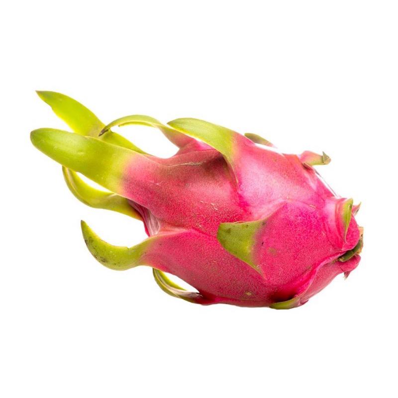 語言發育遲緩 語言訓練教學 水果教具 配對卡 認識水果 認識蔬菜 蔬菜的教學 水果配對-細節圖6