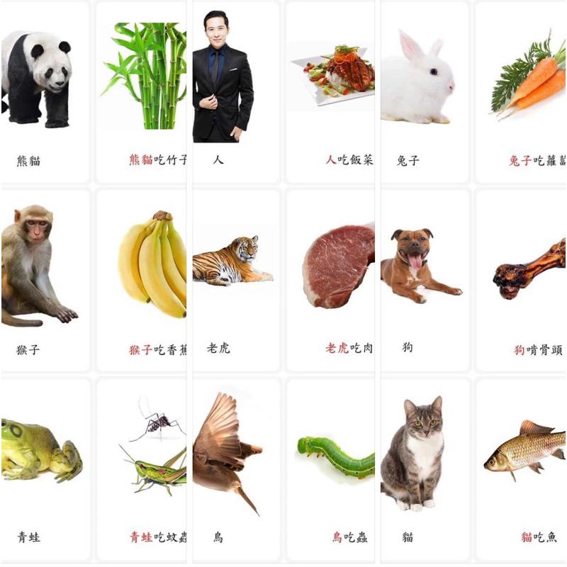 繁體卡 動物關聯卡 動物吃什麼呢 動物的食物卡-細節圖2