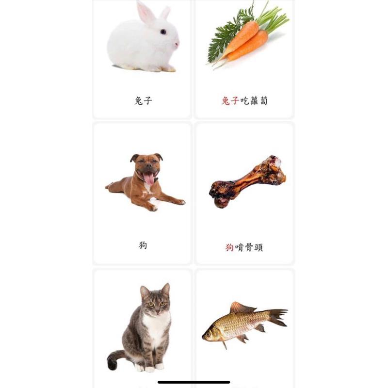 繁體卡 動物關聯卡 動物吃什麼呢 動物的食物卡-細節圖3