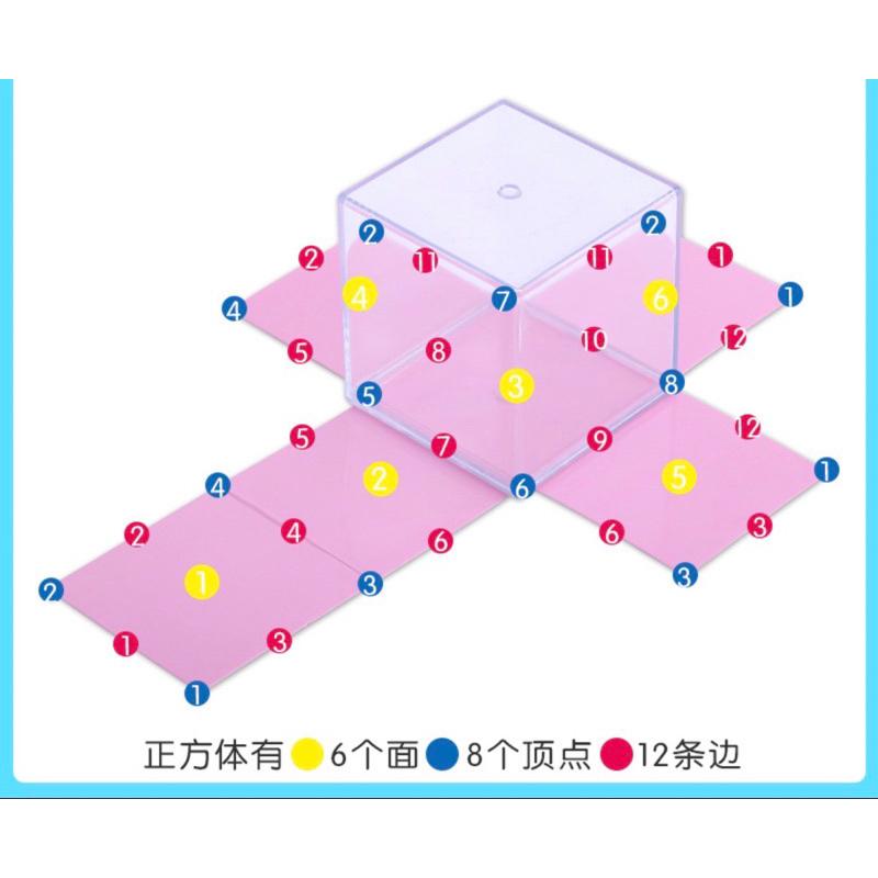 幾何圖形模型展開八件組數學面積 8件組幾何圖 立體形狀認知 形狀教學 數學體積 錐的認識 形狀認知 幾何圖形展開-細節圖4