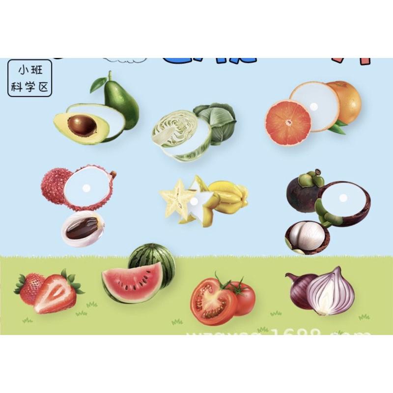 水果+蔬菜透視配對❤️配對樂 蔬菜桌遊 水果桌遊 水果配對 找水果桌遊 蔬菜教具-細節圖3
