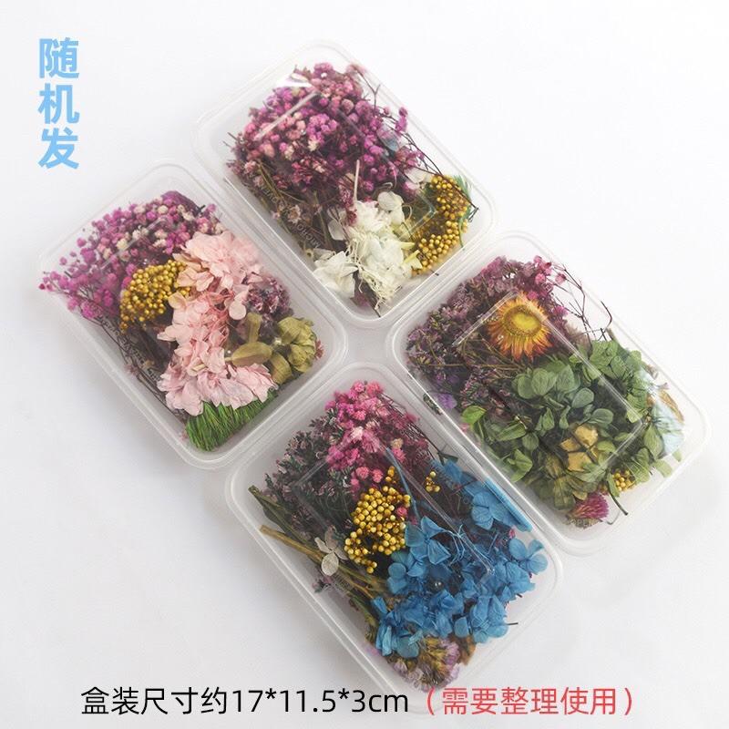 乾花永生花、乾燥花、永生花材料包、花材料包、花教材-細節圖5