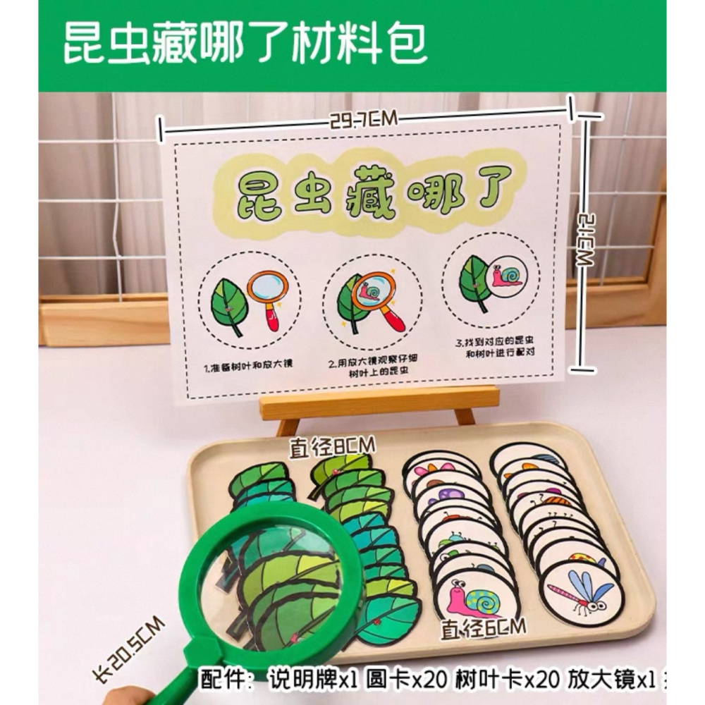 昆蟲觀察、放大鏡遊戲、幼兒教具、親子互動、自然科學、昆蟲配對卡、啟蒙教育-細節圖2