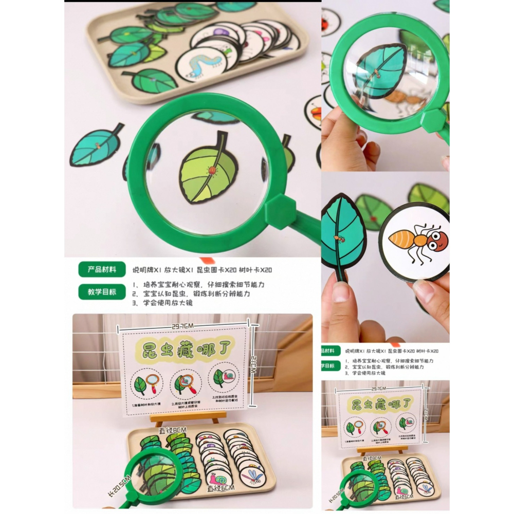 昆蟲觀察、放大鏡遊戲、幼兒教具、親子互動、自然科學、昆蟲配對卡、啟蒙教育-細節圖5