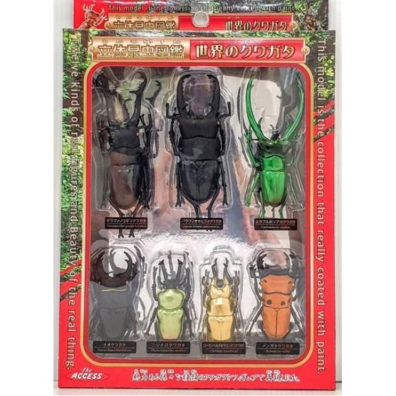 日版立體昆蟲甲蟲揪形蟲模型標本組(ST安全玩具)-細節圖3