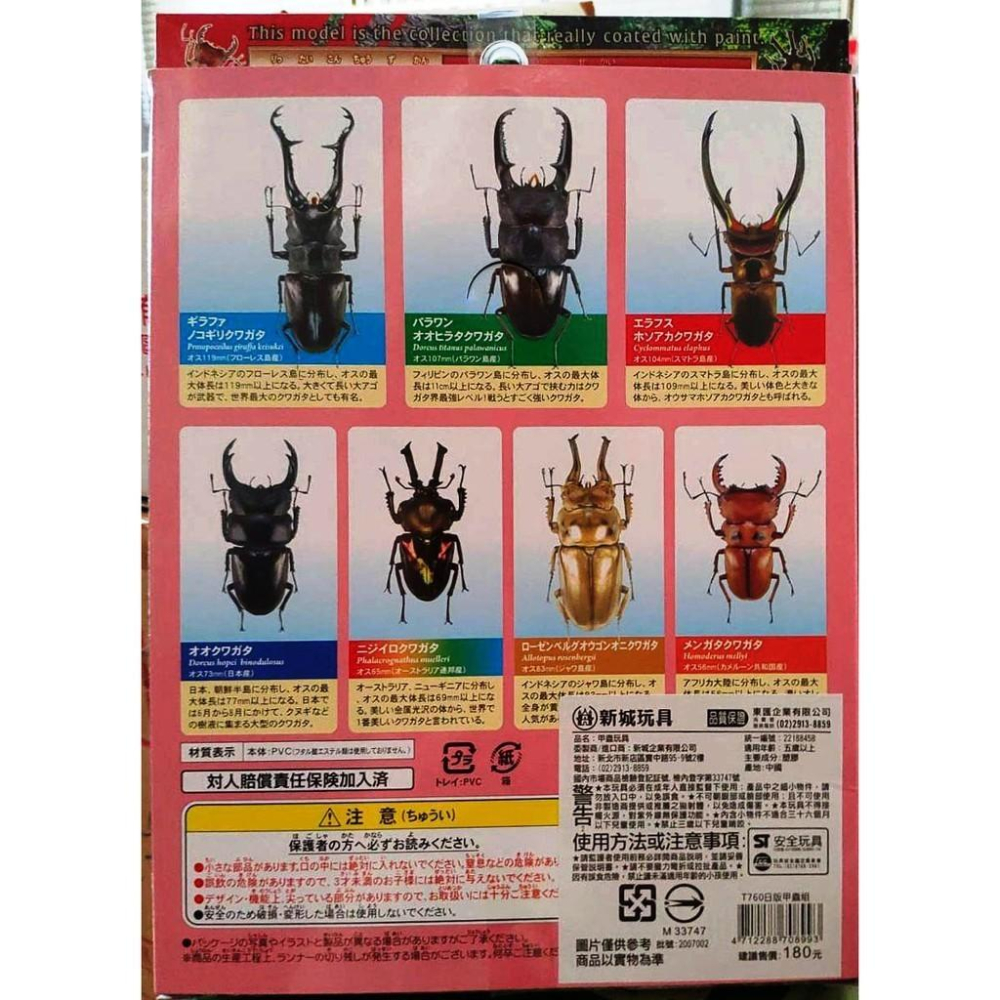 日版立體昆蟲甲蟲揪形蟲模型標本組(ST安全玩具)-細節圖4