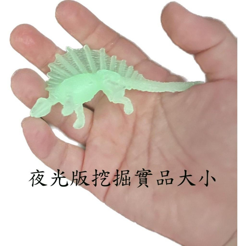 DIY挖掘古代恐龍化石/恐龍蛋/暴龍/劍龍/翼龍/迅猛龍 (附工具)-細節圖7