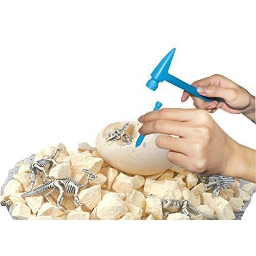 DIY挖掘古代恐龍化石/恐龍蛋/暴龍/劍龍/翼龍/迅猛龍 (附工具)-細節圖8