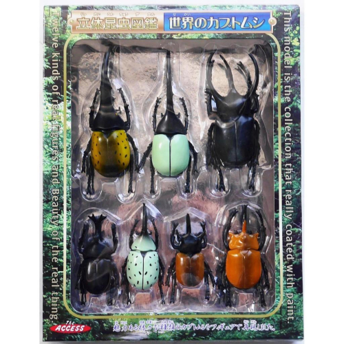 日版立體昆蟲甲蟲模型標本組(ST安全玩具)