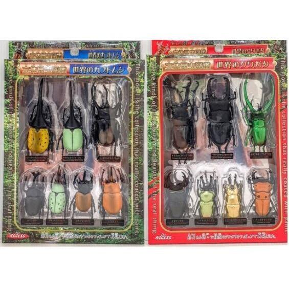 日版立體昆蟲甲蟲模型標本組(ST安全玩具)-細節圖3