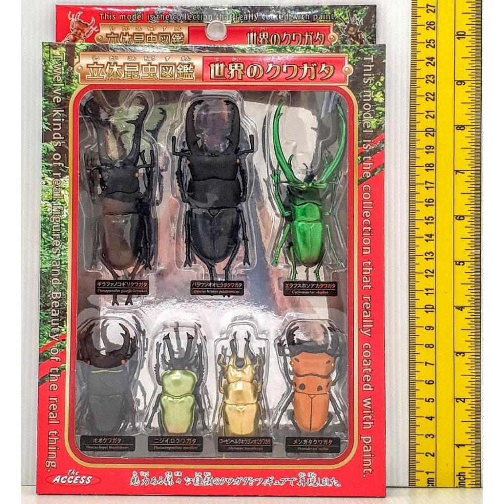 日版立體昆蟲甲蟲模型標本組(ST安全玩具)-細節圖5