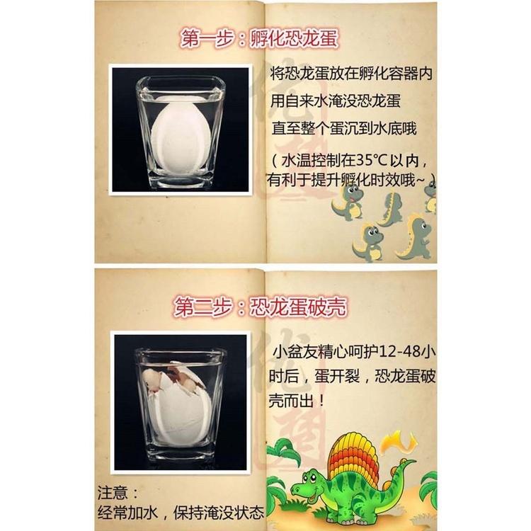 2入彩色孵化恐龍蛋 泡水玩具 丟入水中會有驚喜  釣魚 親子遊戲 二入特價-細節圖3
