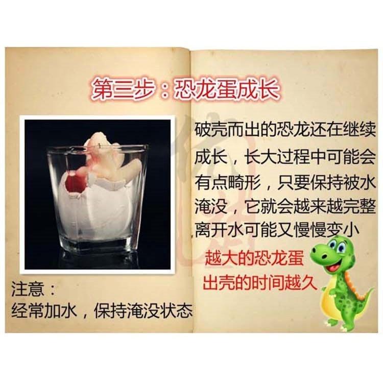 2入彩色孵化恐龍蛋 泡水玩具 丟入水中會有驚喜  釣魚 親子遊戲 二入特價-細節圖6