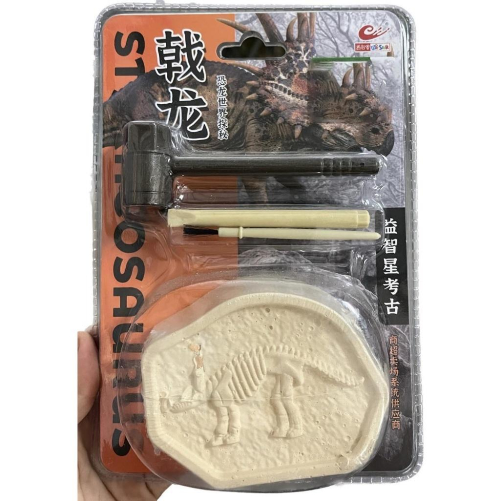 考古挖掘化石恐龍塊+工具組-細節圖2