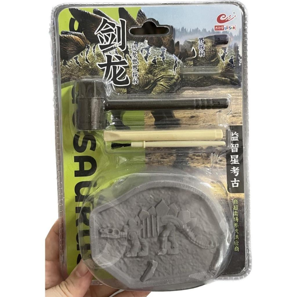 考古挖掘化石恐龍塊+工具組-細節圖3