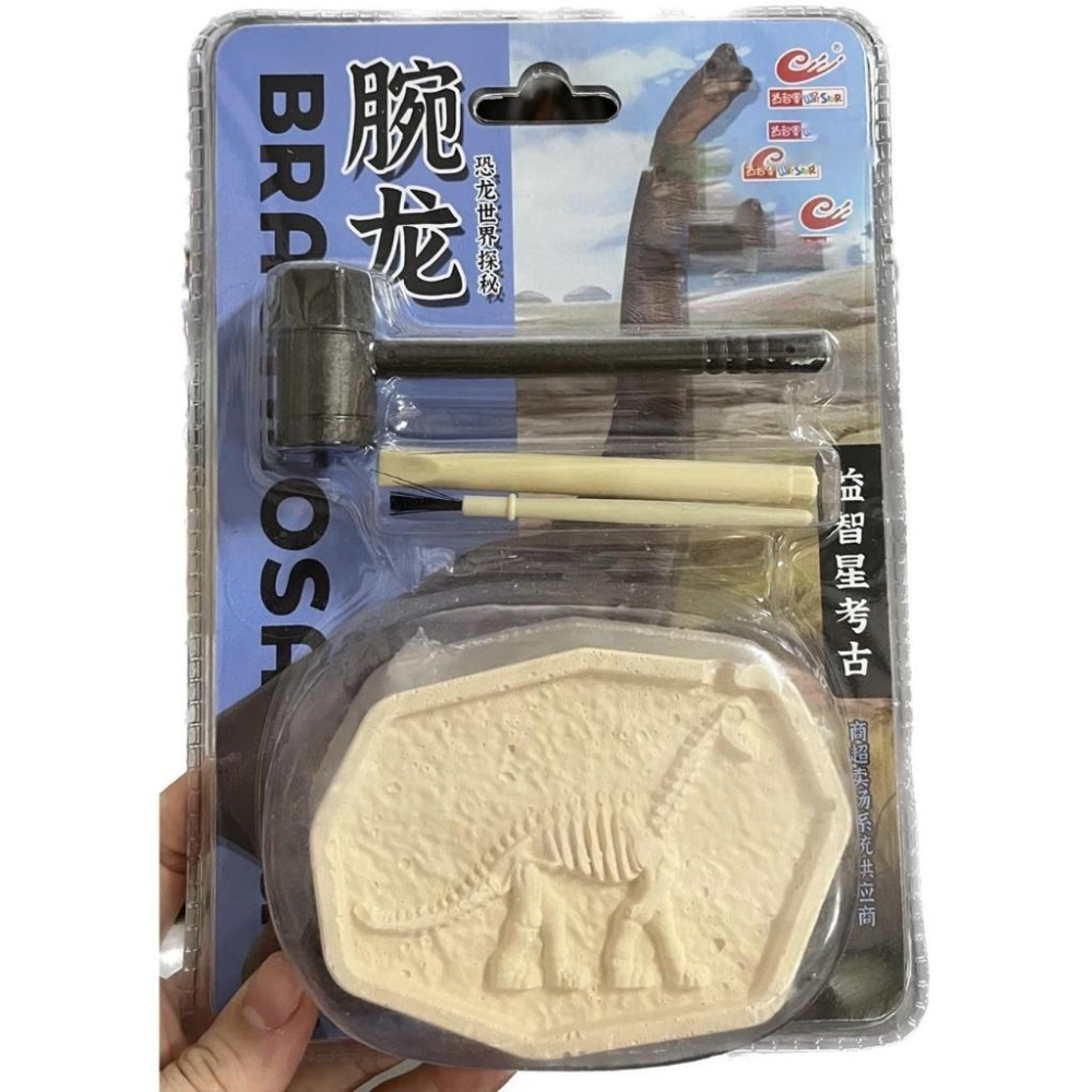 考古挖掘化石恐龍塊+工具組-細節圖4