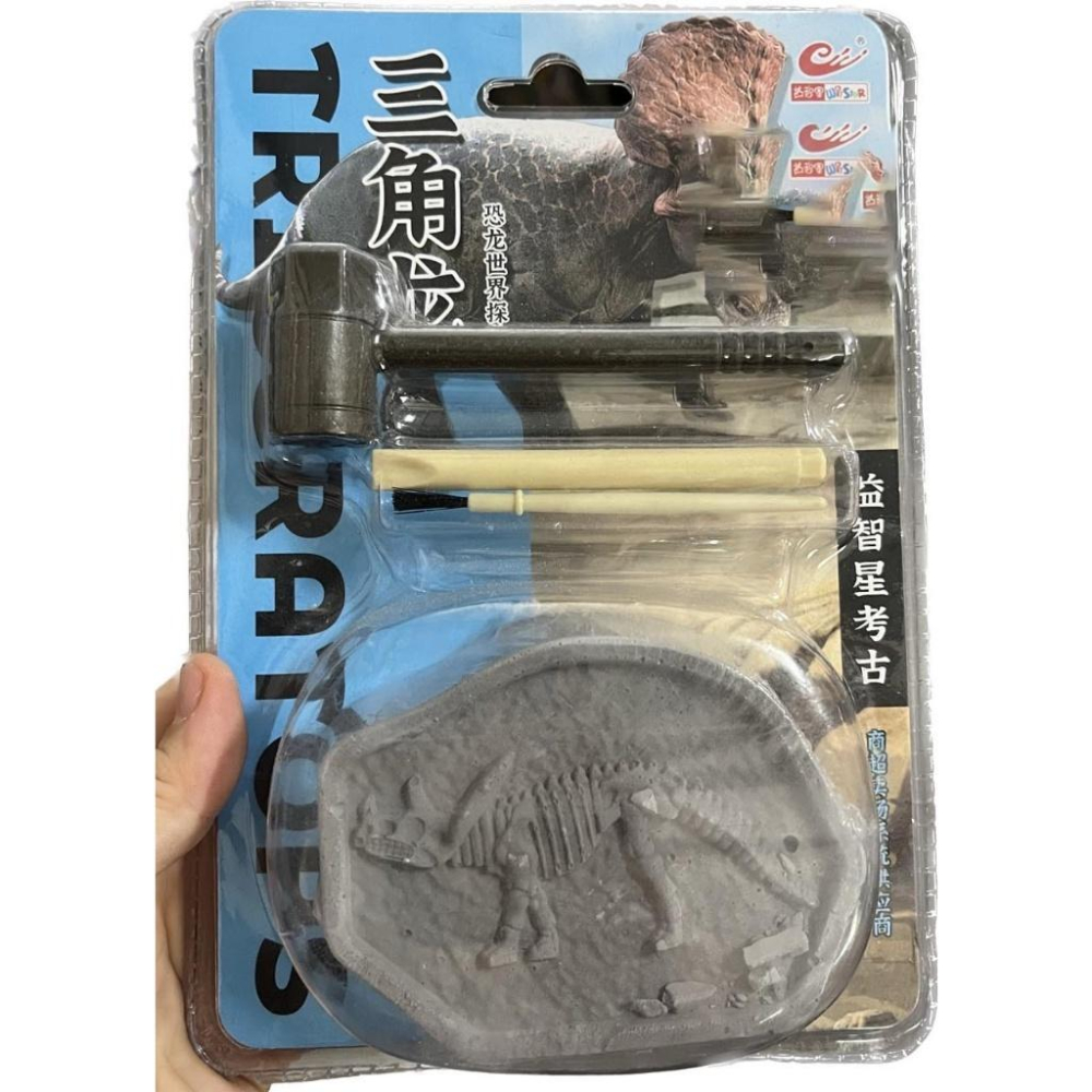 考古挖掘化石恐龍塊+工具組-細節圖5