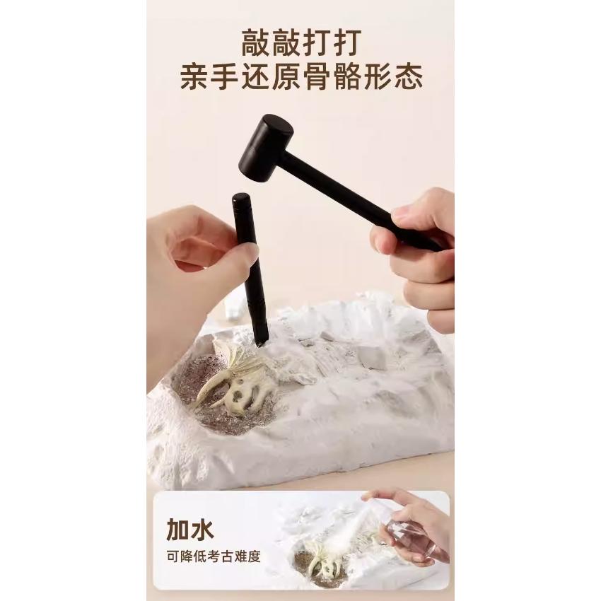 考古挖掘化石恐龍塊+工具組-細節圖7