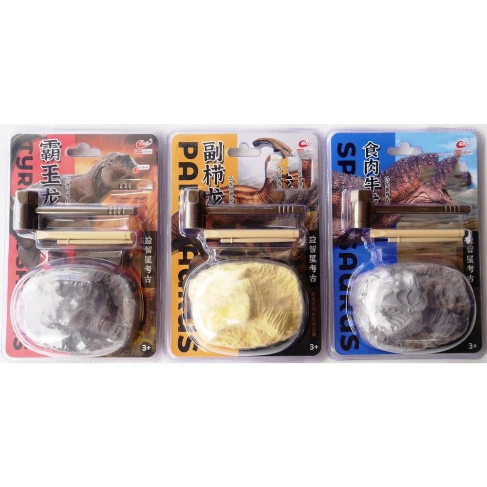 考古挖掘化石恐龍塊+工具組-細節圖9