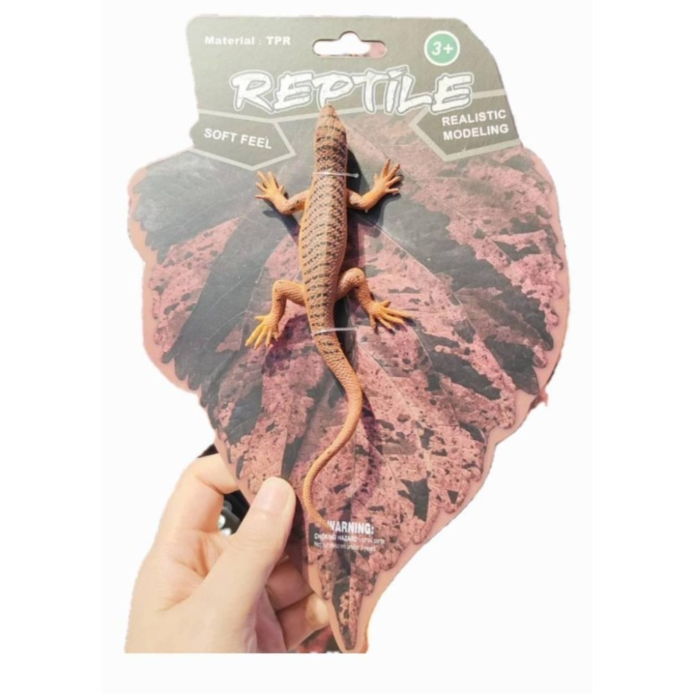 ☆玩具先生☆ 美版~仿真蜥蜴/變色龍/巨蜥/鬥篷蜥 四腳蛇 昆蟲動物模型 兒童認知 軟膠玩具-細節圖4