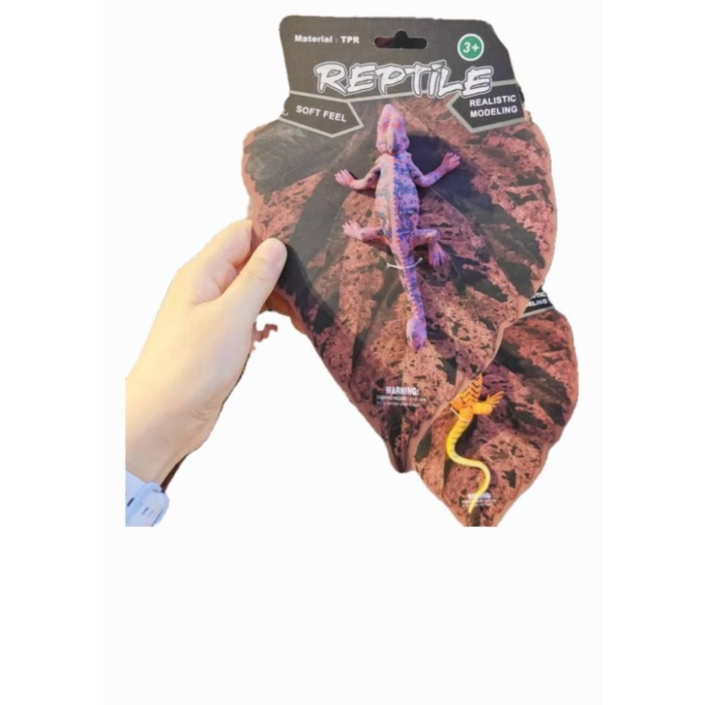 ☆玩具先生☆ 美版~仿真蜥蜴/變色龍/巨蜥/鬥篷蜥 四腳蛇 昆蟲動物模型 兒童認知 軟膠玩具-細節圖6