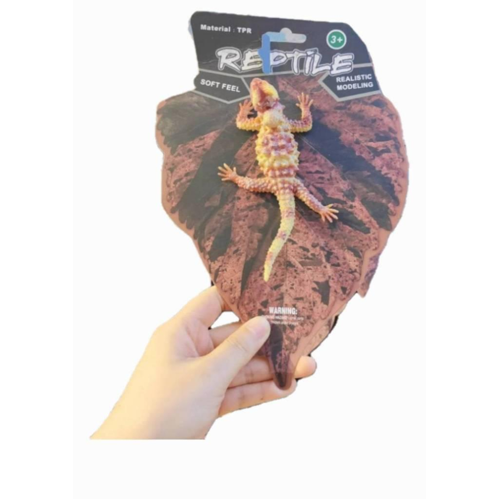 ☆玩具先生☆ 美版~仿真蜥蜴/變色龍/巨蜥/鬥篷蜥 四腳蛇 昆蟲動物模型 兒童認知 軟膠玩具-細節圖7